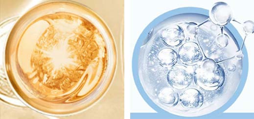 Gentle Skin Conditioning Lotion